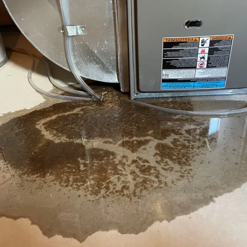 Pipe Burst and Leak Restoration in Crawford County, IL