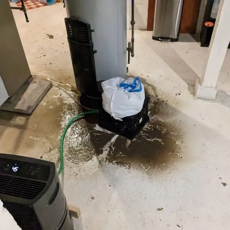 Sewage Backup Cleanup Service in Crawford County, IL